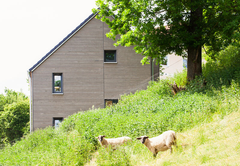 Holzhaus Milena in Wolfsegg